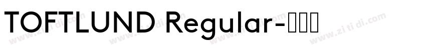 TOFTLUND Regular字体转换
